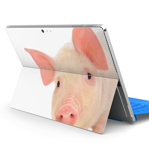 Surface Pro7 (2019) Pro6 Pro2017 pro4 p XLV[ igsticker T[tFX m[gubN m[gp\R Jo[ P[X tB XebJ[ ANZT[ ی 002775 Ԃ@@ʐ^
