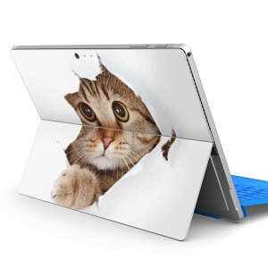 Surface Pro7 (2019) Pro6 Pro2017 pro4 p XLV[ igsticker T[tFX m[gubN m[gp\R Jo[ P[X tB XebJ[ ANZT[ ی 002783 L@@ʐ^