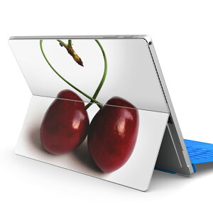 Surface Pro7 (2019) Pro6 Pro2017 pro4 p XLV[ igsticker T[tFX m[gubN m[gp\R Jo[ P[X tB XebJ[ ANZT[ ی 002788 ʕ@n[g@ʐ^