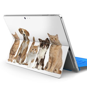 Surface Pro7 (2019) Pro6 Pro2017 pro4 p XLV[ igsticker T[tFX m[gubN m[gp\R Jo[ P[X tB XebJ[ ANZT[ ی 002789 @L@@ʐ^