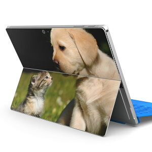 Surface Pro7 (2019) Pro6 Pro2017 pro4 p XLV[ igsticker T[tFX m[gubN m[gp\R Jo[ P[X tB XebJ[ ANZT[ ی 002794 @L@@ʐ^