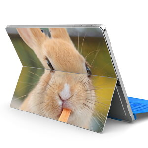 Surface Pro7 (2019) Pro6 Pro2017 pro4 p XLV[ igsticker T[tFX m[gubN m[gp\R Jo[ P[X tB XebJ[ ANZT[ ی 002807 @@ʐ^