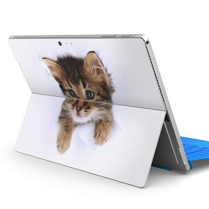 Surface Pro7 (2019) Pro6 Pro2017 pro4 p XLV[ igsticker T[tFX m[gubN m[gp\R Jo[ P[X tB XebJ[ ANZT[ ی 002892 L@@ʐ^