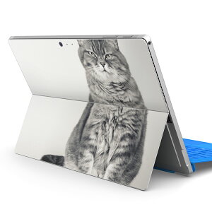 Surface Pro7 (2019) Pro6 Pro2017 pro4 p XLV[ igsticker T[tFX m[gubN m[gp\R Jo[ P[X tB XebJ[ ANZT[ ی 002901 L@@ʐ^