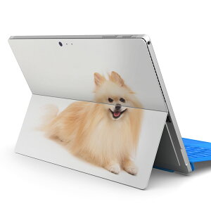 Surface Pro7 (2019) Pro6 Pro2017 pro4 p XLV[ igsticker T[tFX m[gubN m[gp\R Jo[ P[X tB XebJ[ ANZT[ ی 002911 @@ʐ^