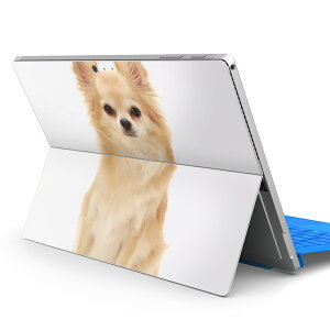 Surface Pro7 (2019) Pro6 Pro2017 pro4 p XLV[ igsticker T[tFX m[gubN m[gp\R Jo[ P[X tB XebJ[ ANZT[ ی 002914 @@ʐ^