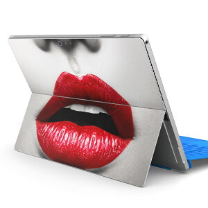 Surface Pro7 (2019) Pro6 Pro2017 pro4 p XLV[ igsticker T[tFX m[gubN m[gp\R Jo[ P[X tB XebJ[ ANZT[ ی 003525 N[ CN@ʐ^@