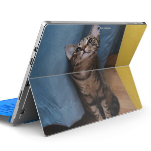 Surface Pro7 (2019) Pro6 Pro2017 pro4 p XLV[ igsticker T[tFX m[gubN m[gp\R Jo[ P[X tB XebJ[ ANZT[ ی 023082 L@˂@@ʐ^