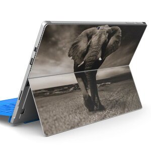 Surface Pro7 (2019) Pro6 Pro2017 pro4 p XLV[ igsticker T[tFX m[gubN m[gp\R Jo[ P[X tB XebJ[ ANZT[ ی 023246 ]E@@Aj}