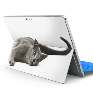 Surface Pro7 (2019) Pro6 Pro2017 pro4 p XLV[ igsticker T[tFX m[gubN m[gp\R Jo[ P[X tB XebJ[ ANZT[ ی 005907 Aj} ʐ^@@L@˂