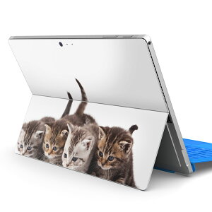 Surface Pro7 (2019) Pro6 Pro2017 pro4 p XLV[ igsticker T[tFX m[gubN m[gp\R Jo[ P[X tB XebJ[ ANZT[ ی 005928 Aj} ʐ^@@L@˂