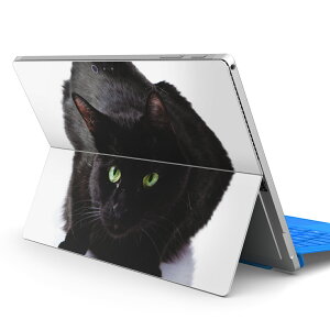 Surface Pro7 (2019) Pro6 Pro2017 pro4 p XLV[ igsticker T[tFX m[gubN m[gp\R Jo[ P[X tB XebJ[ ANZT[ ی 005958 Aj} ʐ^@@˂@L