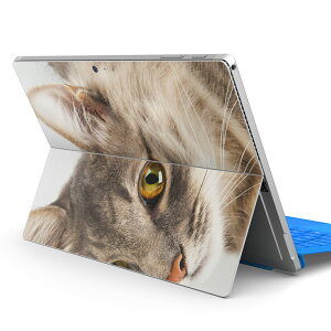 Surface Pro7 (2019) Pro6 Pro2017 pro4 p XLV[ igsticker T[tFX m[gubN m[gp\R Jo[ P[X tB XebJ[ ANZT[ ی 006477 Aj} ʐ^@@˂