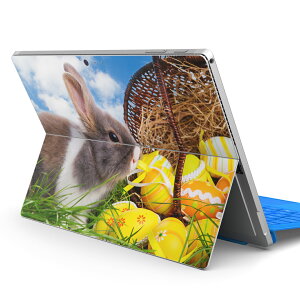 Surface Pro7 (2019) Pro6 Pro2017 pro4 p XLV[ igsticker T[tFX m[gubN m[gp\R Jo[ P[X tB XebJ[ ANZT[ ی 006581 ʐ^@@