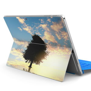 Surface Pro7 (2019) Pro6 Pro2017 pro4 �p �X�L���V�[�� igsticker �T�[�t�F�X �m�[�g�u�b�N �m�[�g�p�\�R�� �J�o�[ �P�[�X �t�B���� �X�e�b�J�[ �A�N�Z�T���[ �ی� 007485 �ʐ^�@�[���@�A���@��