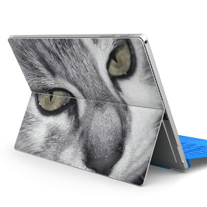 Surface Pro7 (2019) Pro6 Pro2017 pro4 p XLV[ igsticker T[tFX m[gubN m[gp\R Jo[ P[X tB XebJ[ ANZT[ ی 007896 ʐ^@L@˂@mN