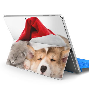 Surface Pro7 (2019) Pro6 Pro2017 pro4 p XLV[ igsticker T[tFX m[gubN m[gp\R Jo[ P[X tB XebJ[ ANZT[ ی 008645 Aj} @L@Xq@ʐ^