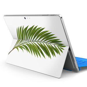 Surface Pro7 (2019) Pro6 Pro2017 pro4 p XLV[ igsticker T[tFX m[gubN m[gp\R Jo[ P[X tB XebJ[ ANZT[ ی 009572 A@Vv@