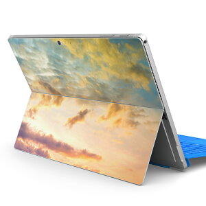 Surface Pro7 (2019) Pro6 Pro2017 pro4 p XLV[ igsticker T[tFX m[gubN m[gp\R Jo[ P[X tB XebJ[ ANZT[ ی 011092 @ʐ^@[Ă
