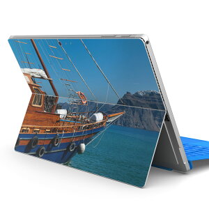Surface Pro7 (2019) Pro6 Pro2017 pro4 �p �X�L���V�[�� igsticker �T�[�t�F�X �m�[�g�u�b�N �m�[�g�p�\�R�� �J�o�[ �P�[�X �t�B���� �X�e�b�J�[ �A�N�Z�T���[ �ی� 011098 �C�@�D�@��