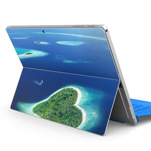 Surface Pro7 (2019) Pro6 Pro2017 pro4 �p �X�L���V�[�� igsticker �T�[�t�F�X �m�[�g�u�b�N �m�[�g�p�\�R�� �J�o�[ �P�[�X �t�B���� �X�e�b�J�[ �A�N�Z�T���[ �ی� 011391 �C�@�n�[�g�@��