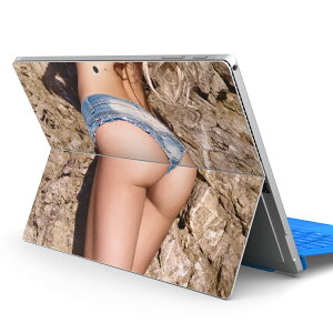 Surface Pro7 (2019) Pro6 Pro2017 pro4 p XLV[ igsticker T[tFX m[gubN m[gp\R Jo[ P[X tB XebJ[ ANZT[ ی 011537 @