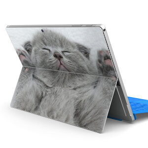 Surface Pro7 (2019) Pro6 Pro2017 pro4 p XLV[ igsticker T[tFX m[gubN m[gp\R Jo[ P[X tB XebJ[ ANZT[ ی 011682 L@@ʐ^