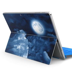 Surface Pro7 (2019) Pro6 Pro2017 pro4 �p �X�L���V�[�� igsticker �T�[�t�F�X �m�[�g�u�b�N �m�[�g�p�\�R�� �J�o�[ �P�[�X �t�B���� �X�e�b�J�[ �A�N�Z�T���[ �ی� 011707 ���@��@��