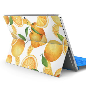 Surface Pro7 (2019) Pro6 Pro2017 pro4 p XLV[ igsticker T[tFX m[gubN m[gp\R Jo[ P[X tB XebJ[ ANZT[ ی 012061 IW@ʕ@