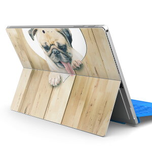 Surface Pro7 (2019) Pro6 Pro2017 pro4 p XLV[ igsticker T[tFX m[gubN m[gp\R Jo[ P[X tB XebJ[ ANZT[ ی 013529 @pO@n[g