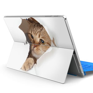 Surface Pro7 (2019) Pro6 Pro2017 pro4 p XLV[ igsticker T[tFX m[gubN m[gp\R Jo[ P[X tB XebJ[ ANZT[ ی 013566 L@ʐ^