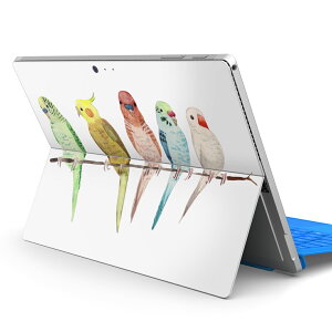 Surface Pro7 (2019) Pro6 Pro2017 pro4 p XLV[ igsticker T[tFX m[gubN m[gp\R Jo[ P[X tB XebJ[ ANZT[ ی 014042 @CR@Aj}