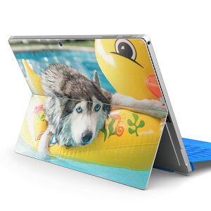 Surface Pro7 (2019) Pro6 Pro2017 pro4 p XLV[ igsticker T[tFX m[gubN m[gp\R Jo[ P[X tB XebJ[ ANZT[ ی 014842 @VxAnXL[@Ђ悱