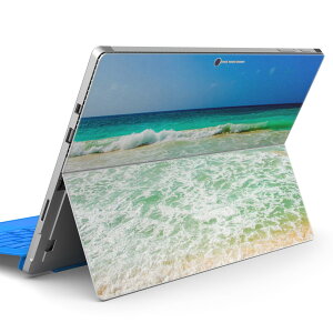 Surface Pro7 (2019) Pro6 Pro2017 pro4 p XLV[ igsticker T[tFX m[gubN m[gp\R Jo[ P[X tB XebJ[ ANZT[ ی 018328 C ʐ^ 
