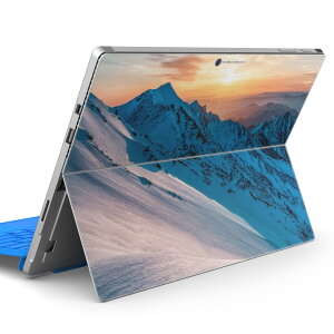 Surface Pro7 (2019) Pro6 Pro2017 pro4 p XLV[ igsticker T[tFX m[gubN m[gp\R Jo[ P[X tB XebJ[ ANZT[ ی 018337 R ʐ^ 