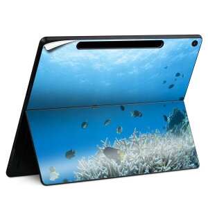 Surface Pro 12 �C���` (2025) �p �X�L���V�[�� �S�ʃX�L���V�[�� �t�� SurfacePro12 �p �w�� �� �X�e�b�J�[ �ی�V�[�� ���i���Ĕ������V�[�g �L�����N�^�[ ���킢�� 023396 �����@��@�l�� 000060 �C�@��