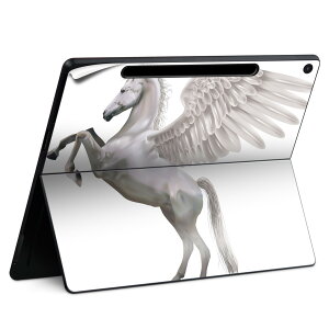 Surface Pro 12 C` (2025) p XLV[ SʃXLV[ t SurfacePro12 p w  XebJ[ یV[ iĔV[g LN^[ 킢 023396 @@l 000880 yKT