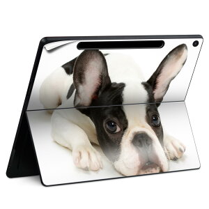 Surface Pro 12 C` (2025) p XLV[ SʃXLV[ t SurfacePro12 p w  XebJ[ یV[ iĔV[g LN^[ 킢 023396 @@l 000889 @t