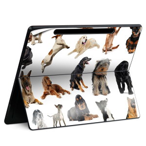 Surface Pro 12 �C���` (2025) �p �X�L���V�[�� �S�ʃX�L���V�[�� �t�� SurfacePro12 �p �w�� �� �X�e�b�J�[ �ی�V�[�� ���i���Ĕ������V�[�g �L�����N�^�[ ���킢�� 023396 �����@��@�l�� 000911 ���@��