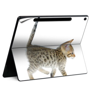 Surface Pro 12 �C���` (2025) �p �X�L���V�[�� �S�ʃX�L���V�[�� �t�� SurfacePro12 �p �w�� �� �X�e�b�J�[ �ی�V�[�� ���i���Ĕ������V�[�g �L�����N�^�[ ���킢�� 023396 �����@��@�l�� 000915 �l�R�@