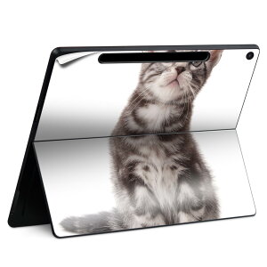 Surface Pro 12 �C���` (2025) �p �X�L���V�[�� �S�ʃX�L���V�[�� �t�� SurfacePro12 �p �w�� �� �X�e�b�J�[ �ی�V�[�� ���i���Ĕ������V�[�g �L�����N�^�[ ���킢�� 023396 �����@��@�l�� 001070 �L�@�A