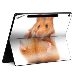 Surface Pro 12 C` (2025) p XLV[ SʃXLV[ t SurfacePro12 p w  XebJ[ یV[ iĔV[g LN^[ 킢 023396 @@l 001075 nX