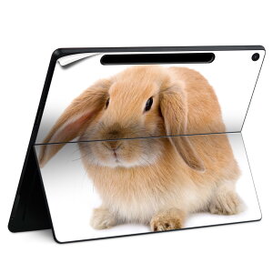 Surface Pro 12 C` (2025) p XLV[ SʃXLV[ t SurfacePro12 p w  XebJ[ یV[ iĔV[g LN^[ 킢 023396 @@l 001112 