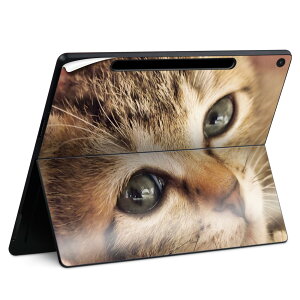 Surface Pro 12 �C���` (2025) �p �X�L���V�[�� �S�ʃX�L���V�[�� �t�� SurfacePro12 �p �w�� �� �X�e�b�J�[ �ی�V�[�� ���i���Ĕ������V�[�g �L�����N�^�[ ���킢�� 023396 �����@��@�l�� 001172 �l�R�@