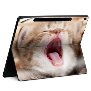 Surface Pro 12 �C���` (2025) �p �X�L���V�[�� �S�ʃX�L���V�[�� �t�� SurfacePro12 �p �w�� �� �X�e�b�J�[ �ی�V�[�� ���i���Ĕ������V�[�g �L�����N�^�[ ���킢�� 023396 �����@��@�l�� 001173 �l�R�@