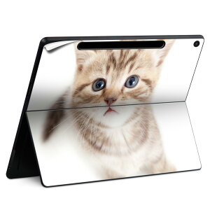 Surface Pro 12 �C���` (2025) �p �X�L���V�[�� �S�ʃX�L���V�[�� �t�� SurfacePro12 �p �w�� �� �X�e�b�J�[ �ی�V�[�� ���i���Ĕ������V�[�g �L�����N�^�[ ���킢�� 023396 �����@��@�l�� 001194 �l�R�@