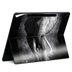 Surface Pro 12 �C���` (2025) �p �X�L���V�[�� �S�ʃX�L���V�[�� �t�� SurfacePro12 �p �w�� �� �X�e�b�J�[ �ی�V�[�� ���i���Ĕ������V�[�g �L�����N�^�[ ���킢�� 023396 �����@��@�l�� 001211 �]�E�@