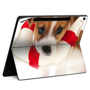 Surface Pro 12 C` (2025) p XLV[ SʃXLV[ t SurfacePro12 p w  XebJ[ یV[ iĔV[g LN^[ 킢 023396 @@l 001242 @
