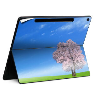 Surface Pro 12 C` (2025) p XLV[ SʃXLV[ t SurfacePro12 p w  XebJ[ یV[ iĔV[g LN^[ 킢 023396 @@l 002466 iF@