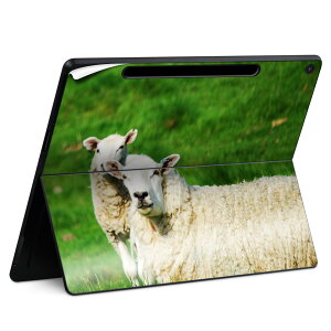 Surface Pro 12 �C���` (2025) �p �X�L���V�[�� �S�ʃX�L���V�[�� �t�� SurfacePro12 �p �w�� �� �X�e�b�J�[ �ی�V�[�� ���i���Ĕ������V�[�g �L�����N�^�[ ���킢�� 023396 �����@��@�l�� 002585 �Ђ�